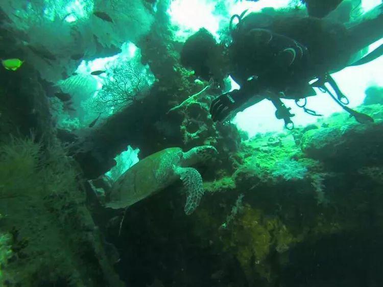 海绵宝宝寻珍宝